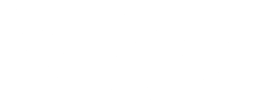 Map of Indonesia